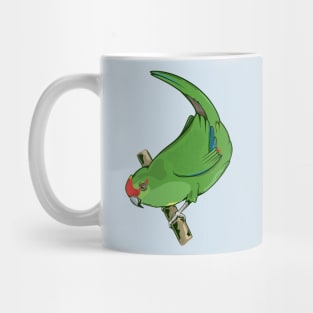 Red-crowned parakeet kakariki Mug